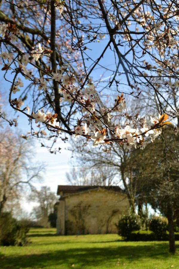 Relais De Margaux - Hotel & Spa Eksteriør bilde